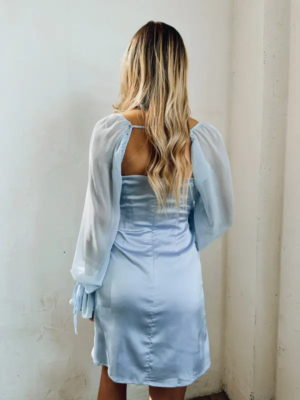 Sheer Long Sleeve Mini Dress