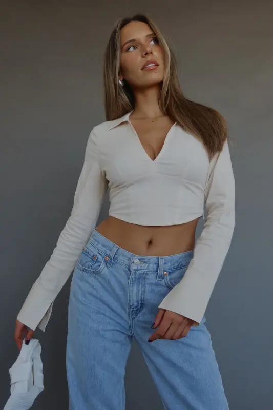 Emory Collared Long Sleeve Top In Taupe