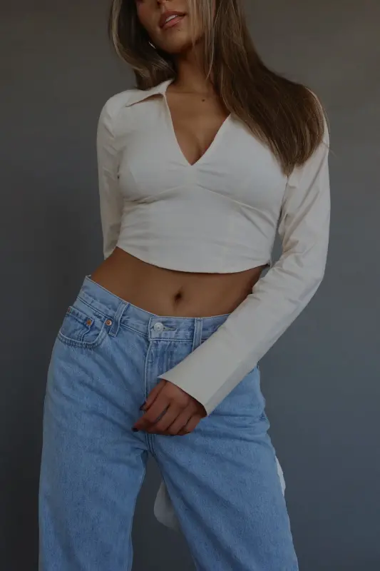 Emory Collared Long Sleeve Top In Taupe