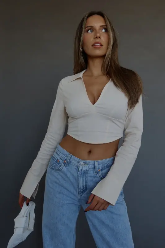 Emory Collared Long Sleeve Top In Taupe